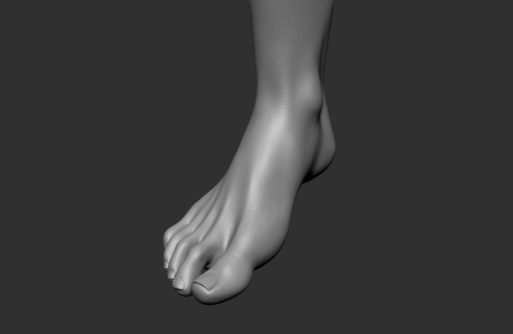 Human foot 3D model - TurboSquid 1513287