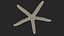 Red Sea Star Rigged