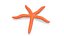Red Sea Star Rigged