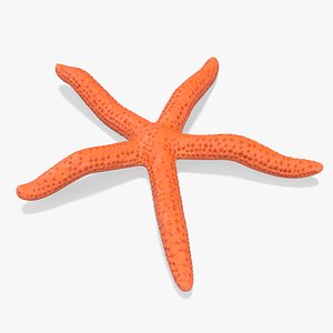 3D Red Sea Star Rigged model