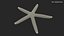 Red Sea Star Rigged