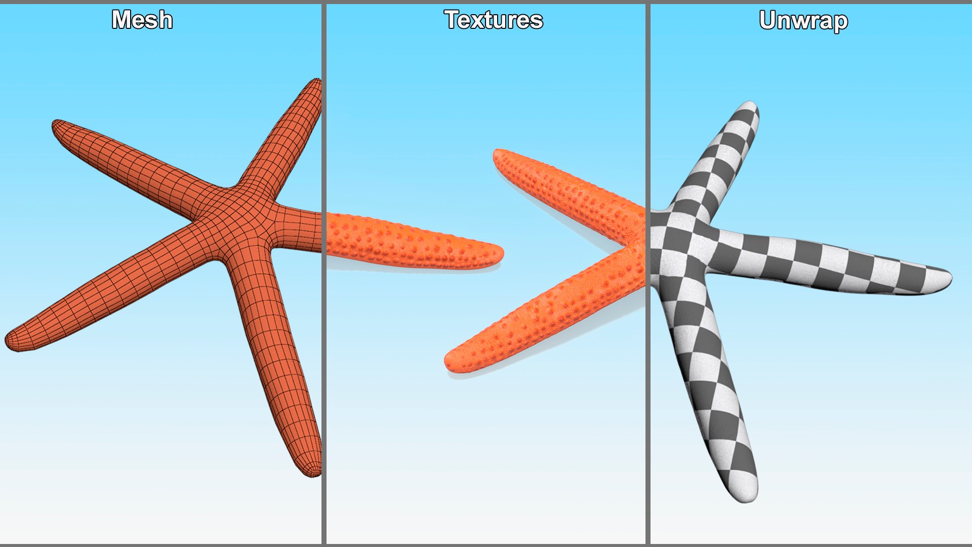 3D Red Sea Star Rigged model https://p.turbosquid.com/ts-thumb/0r/vpd5gG/uC/redseastarrigged3dsmodel009/jpg/1714601433/1920x1080/fit_q87/6469f265059b5c981be4a807d426d620bd8da8a8/redseastarrigged3dsmodel009.jpg