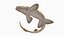 Epaulette Shark Animated