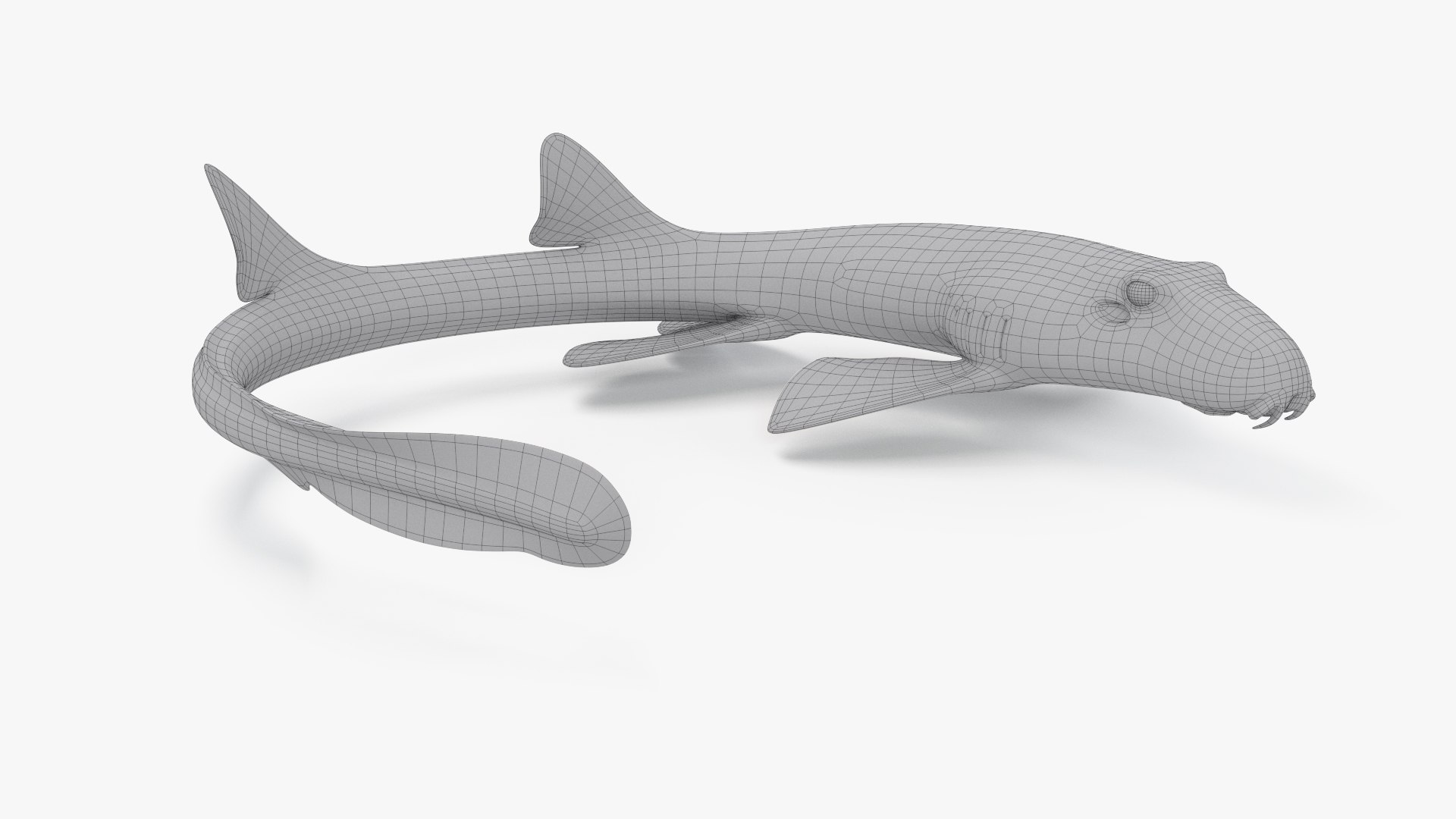 3D Epaulette Shark Animated https://p.turbosquid.com/ts-thumb/0s/6Tdonc/PG/lattice_00002/jpg/1673475289/1920x1080/fit_q87/a1a6df449eeb905b40613bc08e1c09cc178a34d8/lattice_00002.jpg