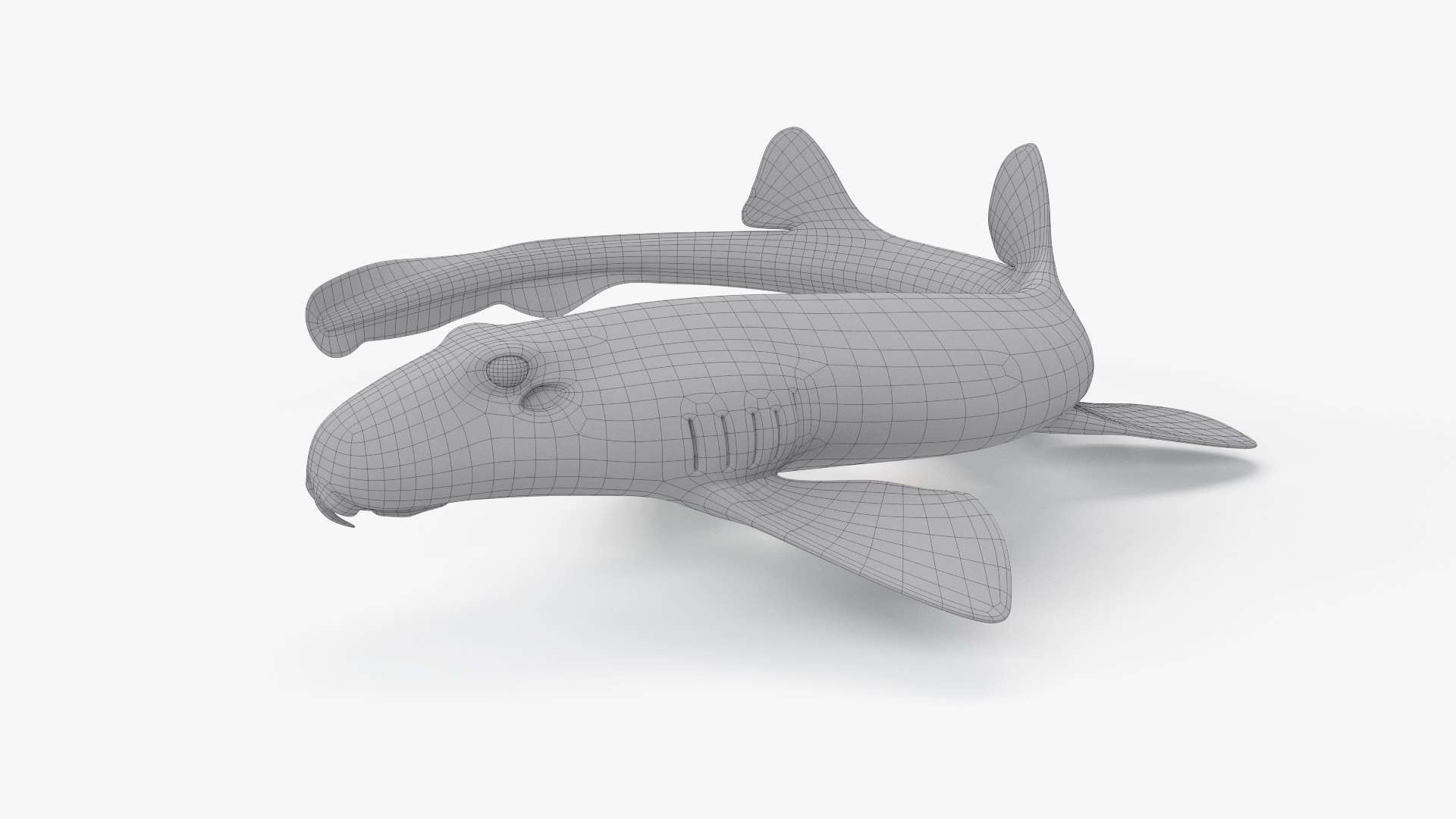 3D Epaulette Shark Animated https://p.turbosquid.com/ts-thumb/0s/6Tdonc/mW/lattice_00054/jpg/1673475289/1920x1080/fit_q87/c1b5fdcc7ad1949b72fc8096fdb884144db00e36/lattice_00054.jpg