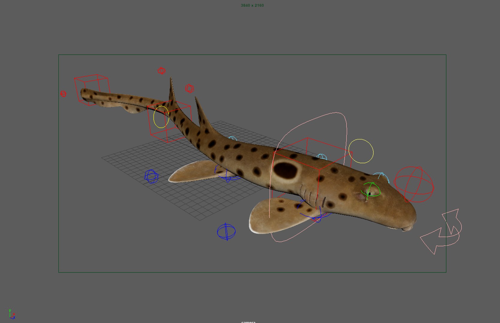 3D Epaulette Shark Animated https://p.turbosquid.com/ts-thumb/0s/6Tdonc/oi/view_2/png/1673474774/1920x1080/fit_q87/d0e8311003f08226949b4afb164986194e88d5ef/view_2.jpg