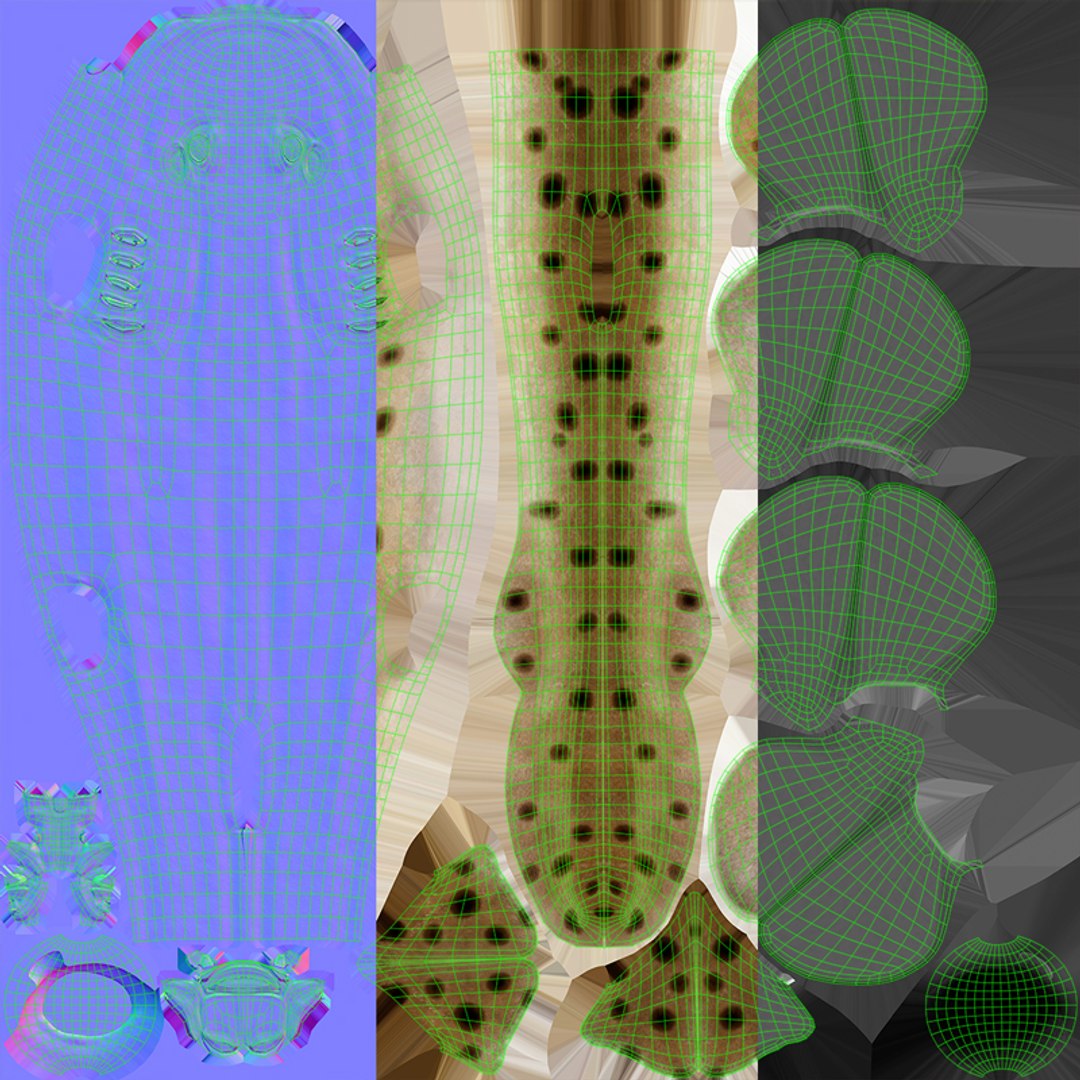 3D Epaulette Shark Animated https://p.turbosquid.com/ts-thumb/0s/6Tdonc/sA/texture/jpg/1673474769/1920x1080/fit_q87/78a0fc9578c9869c02fbb880e9801501499f4678/texture.jpg