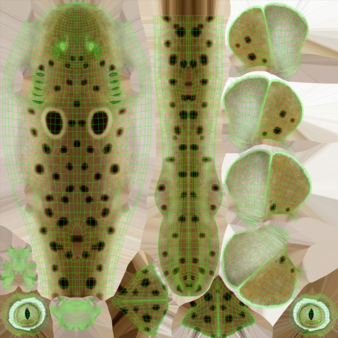 3D Epaulette Shark Animated https://p.turbosquid.com/ts-thumb/0s/6Tdonc/zl/texture2/jpg/1673474770/1920x1080/fit_q87/9965073b92f6297fdf5cf678c5064392a306bb7e/texture2.jpg