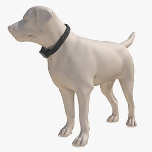 3D Dog Mannequin with Adjustable Smart Collar model