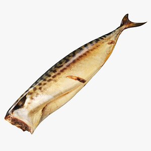 Smoked mackerel model