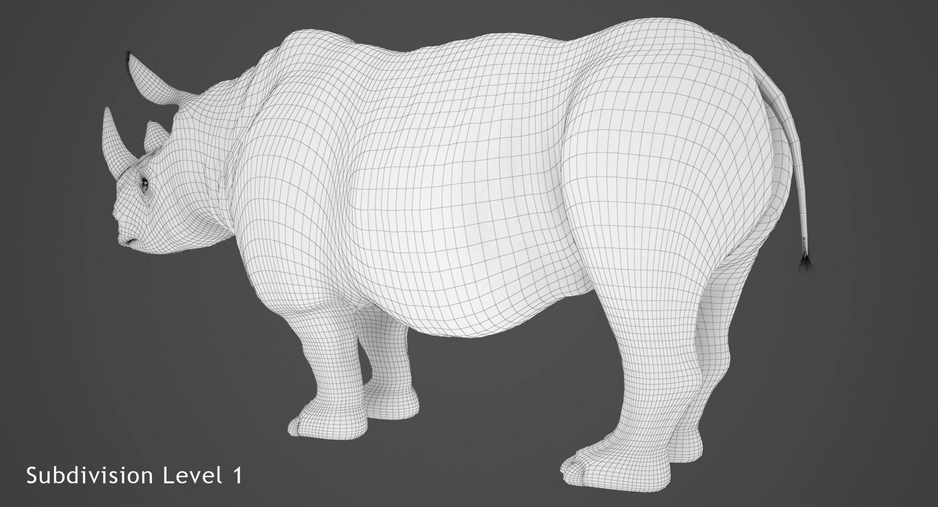 3d Realistic Rhino