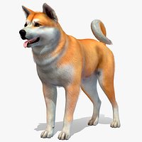 Dog - Akita Inu