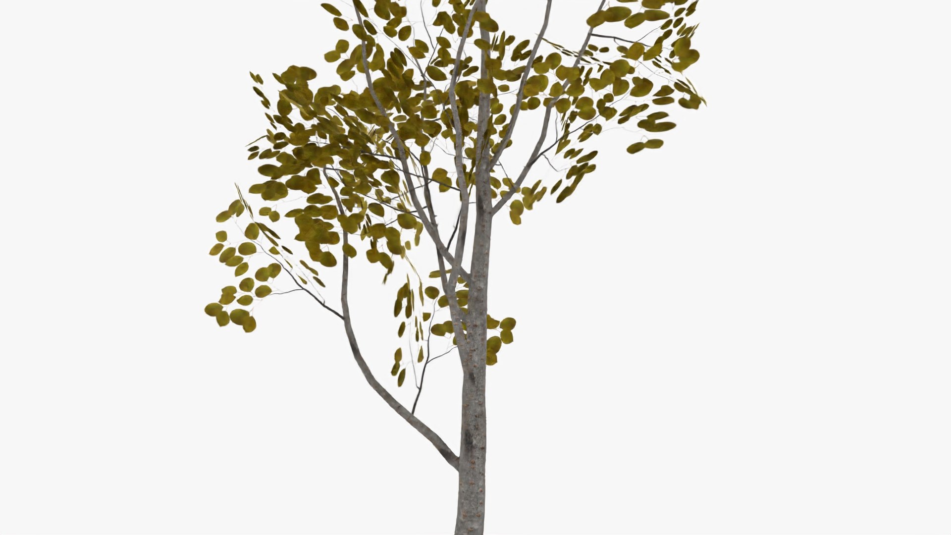 Pear autumn model - TurboSquid 1630108
