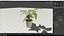 plant model
