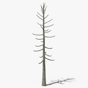 3D Dead Pine v2 model