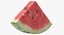 3D Watermelon Slices Collection 02 - 3 models model