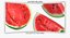 3D Watermelon Slices Collection 02 - 3 models model