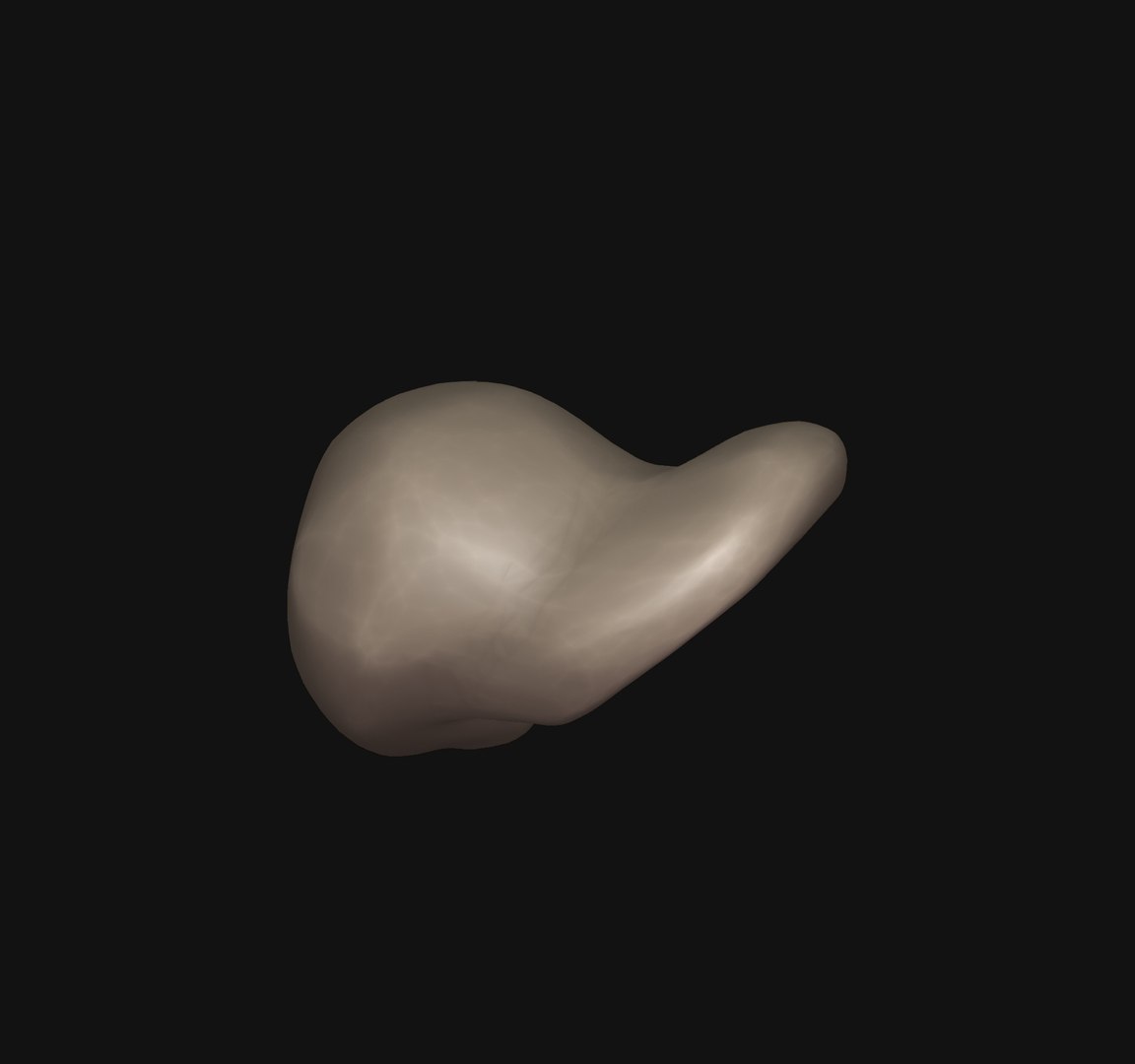 3D Human ear 3D print https://p.turbosquid.com/ts-thumb/0t/G2NKF1/Ya/7/jpg/1648209393/1920x1080/fit_q87/8f0203c28f93522716b7cc575b22074c26fc9e35/7.jpg