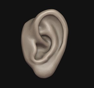 3D Human ear 3D print