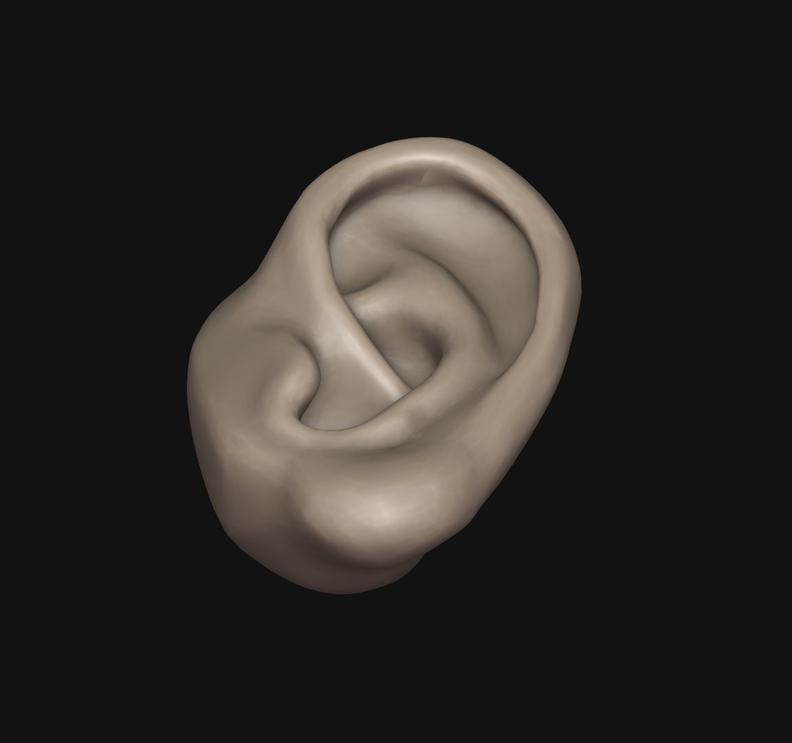 3D Human Ear 3D Print - TurboSquid 1872923