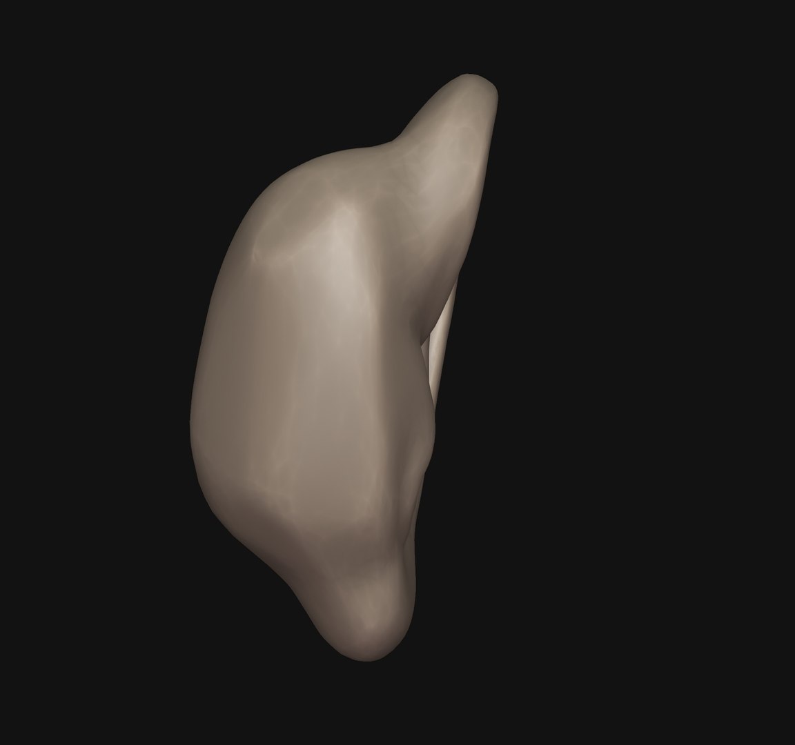 3D Human ear 3D print https://p.turbosquid.com/ts-thumb/0t/G2NKF1/iS/3/jpg/1648209391/1920x1080/fit_q87/39dd77ef763625ec28bd84f2426ec0527550dc1d/3.jpg