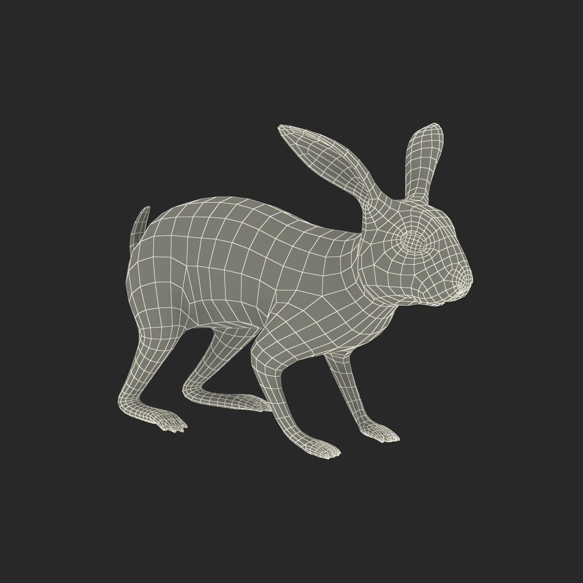 3d model rabbit rigged