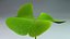 clover