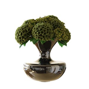 hydrangea in vase