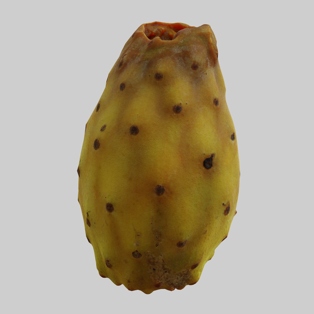 Prickly Pear Model - TurboSquid 2114375