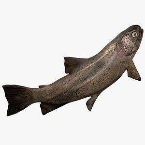 3D TROUT L404