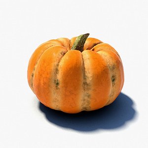 Pumpkin - 3D Scan