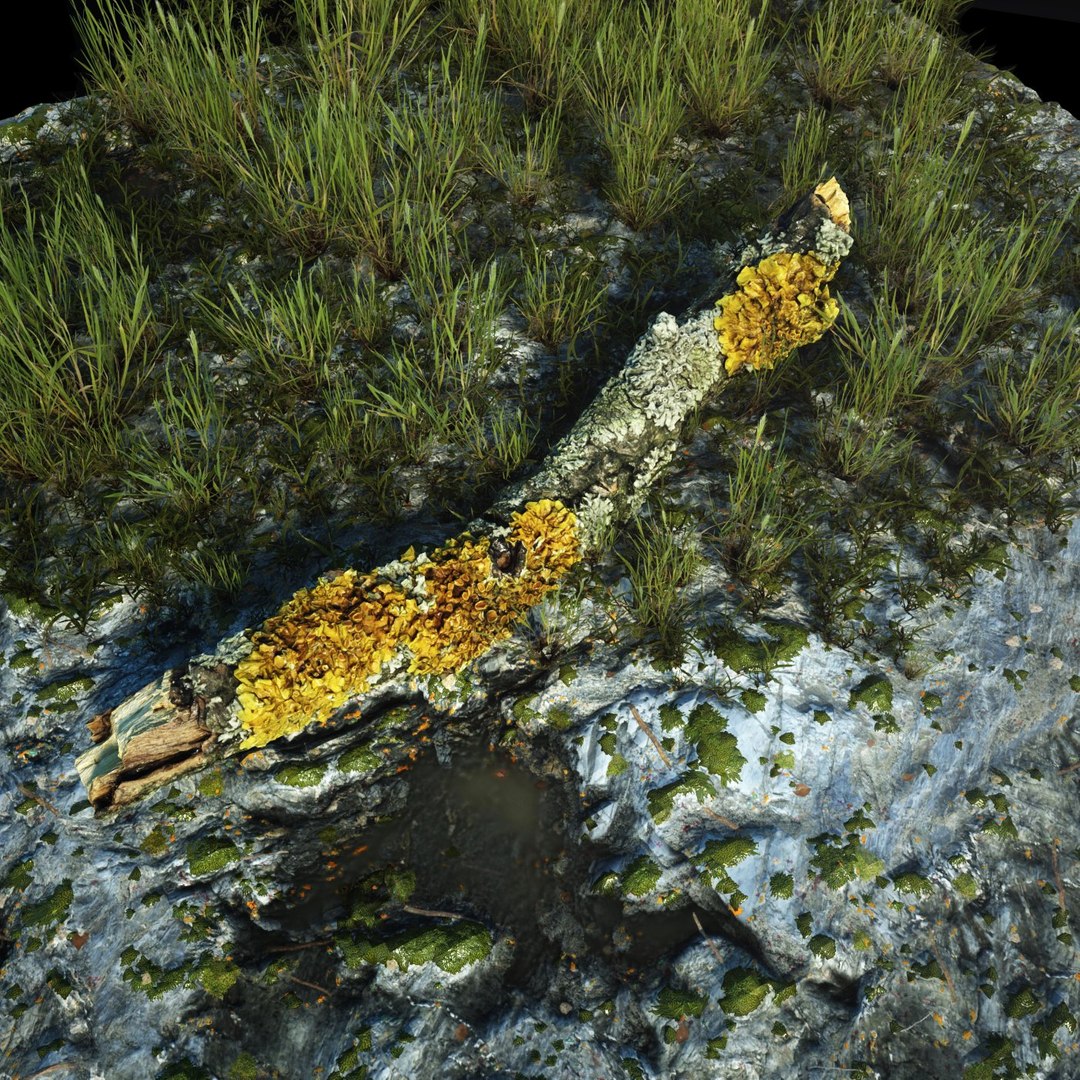 3D Trunk Environment Model - TurboSquid 1568604