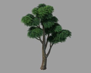 3D model plants - cypress 03