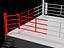Boxing Ring