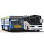 Rigged Buses Collection
