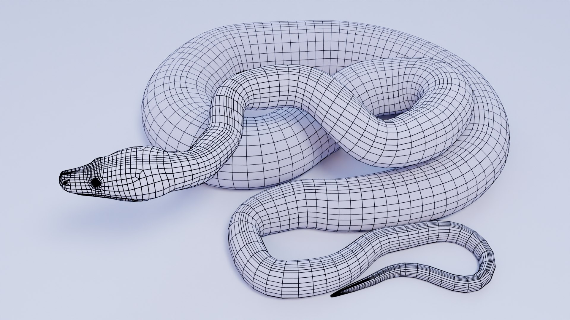 Reticulated Python Model - TurboSquid 1833686