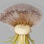 Dandelion Head V2