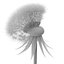 Dandelion Head V2