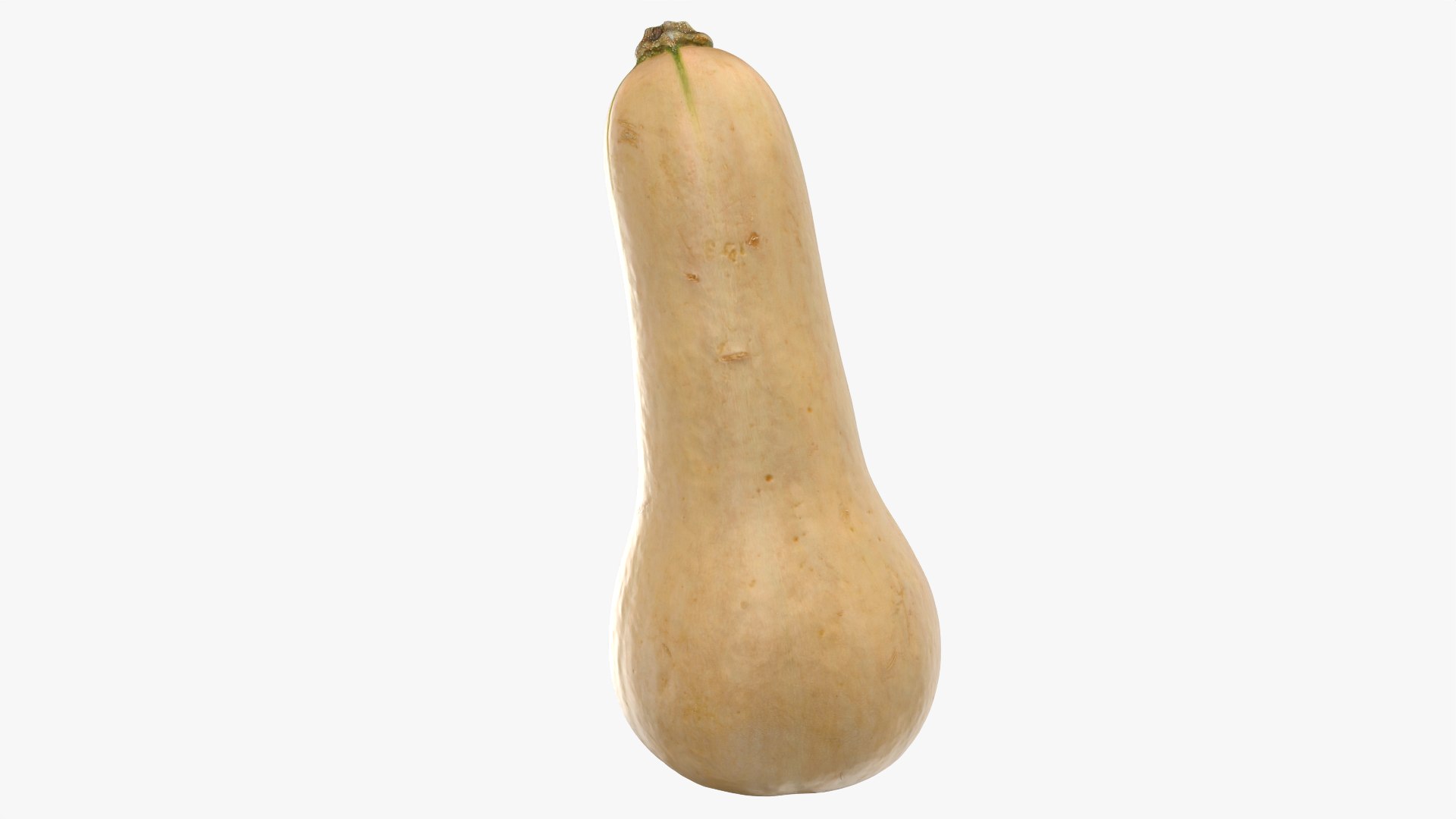 3D model Butternut Squash 01 https://p.turbosquid.com/ts-thumb/0u/CzfmQG/1H/butternutsquash01_0007/png/1763564033/1920x1080/fit_q87/b7682421cc6b21380f91b2cb8e542bad8a0f9a46/butternutsquash01_0007.jpg