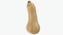 Butternut Squash 01