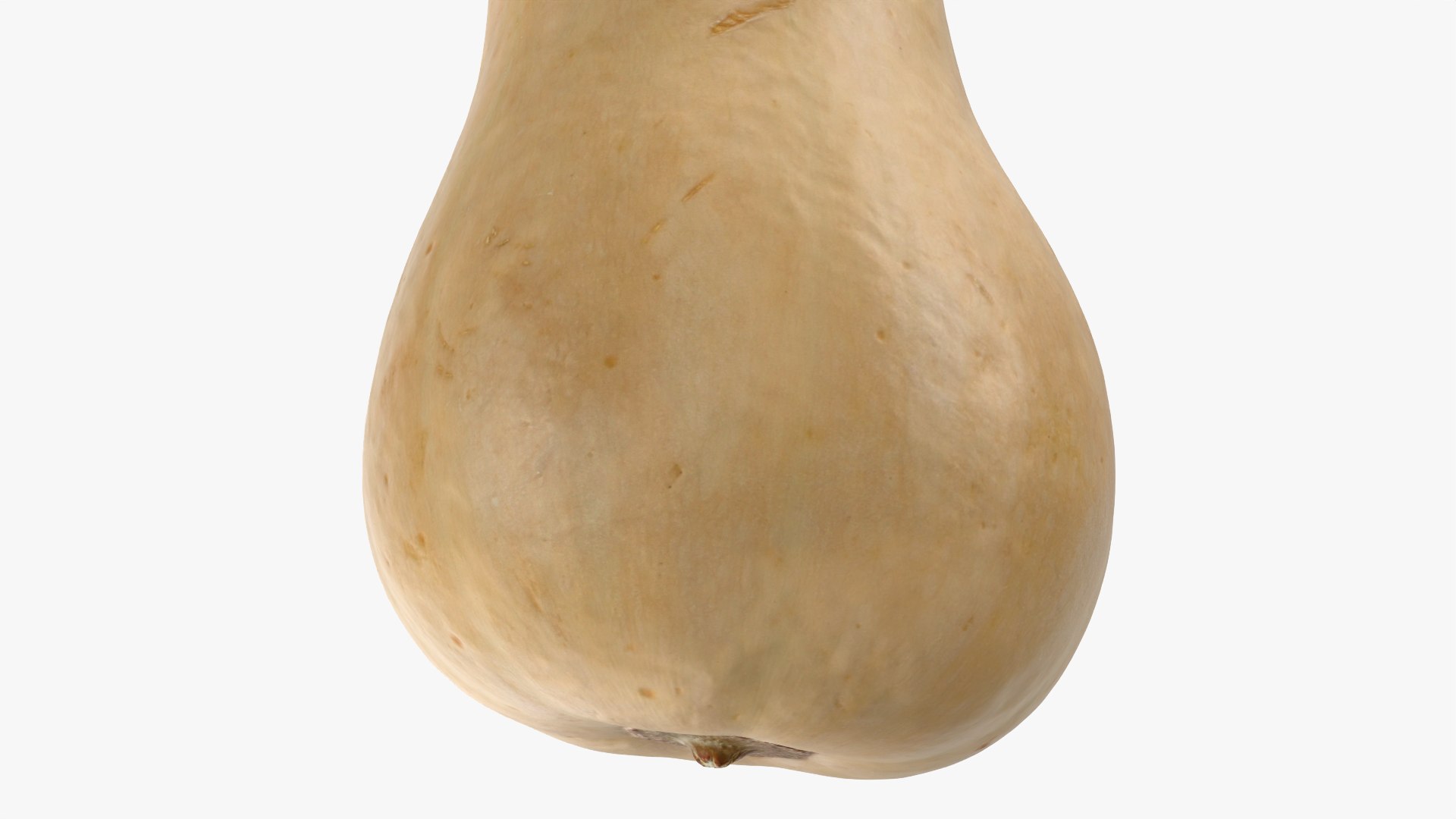 3D model Butternut Squash 01 https://p.turbosquid.com/ts-thumb/0u/CzfmQG/7w/butternutsquash01_0011/png/1763564047/1920x1080/fit_q87/d98acf2c25fafa4d2b1adc6df0bb5e1ae061ed2b/butternutsquash01_0011.jpg