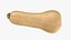 Zucca Butternut 01