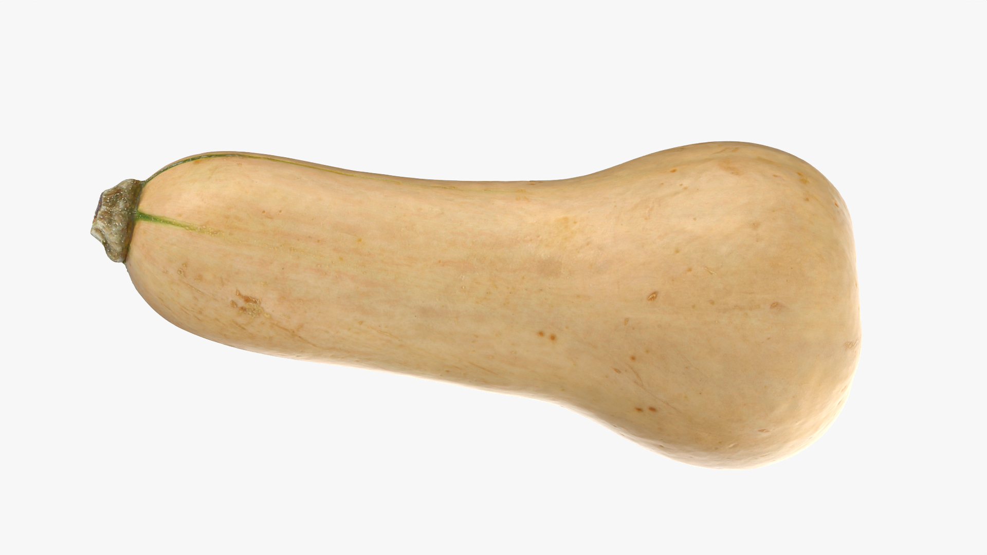 3D model Butternut Squash 01 https://p.turbosquid.com/ts-thumb/0u/CzfmQG/BM/butternutsquash01/png/1764944904/1920x1080/turn_fit_q99/4bcabc32b94bdc0bd3ca1031e5352a5eb6a7acf7/butternutsquash01-1.jpg