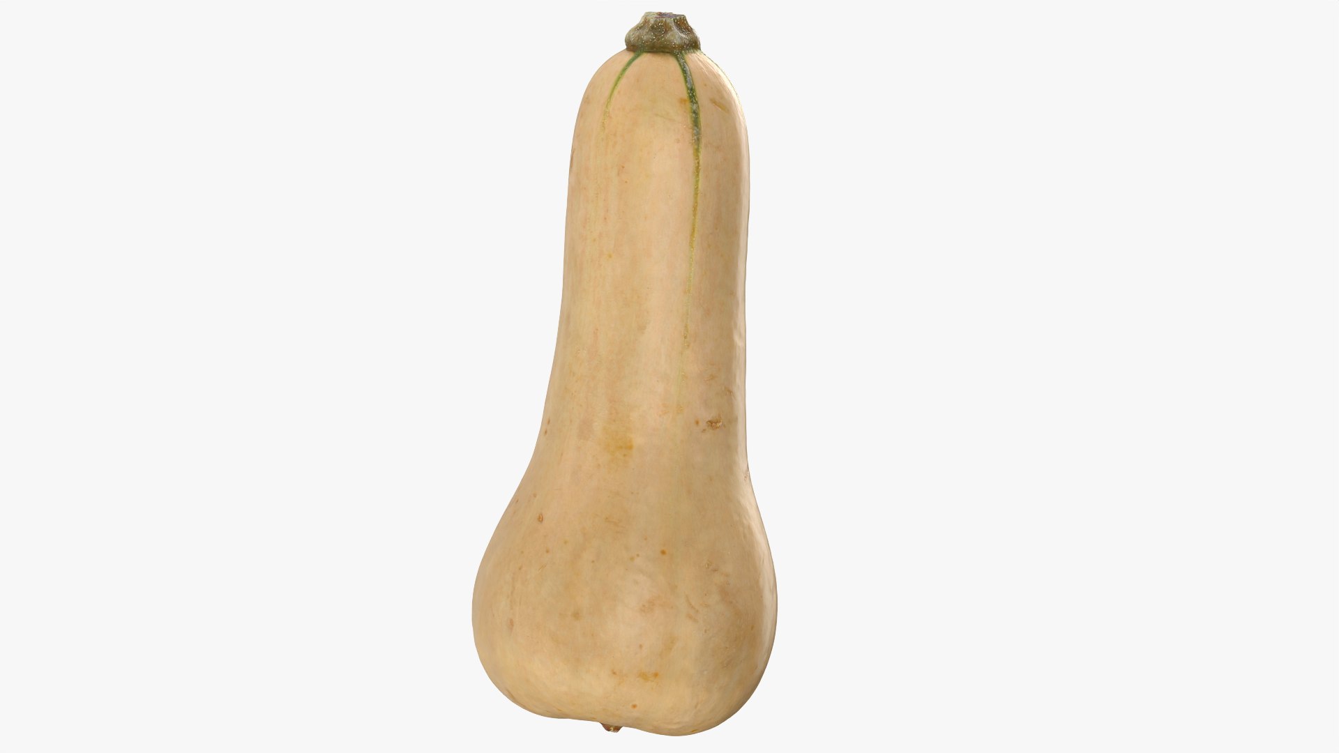 3D model Butternut Squash 01 https://p.turbosquid.com/ts-thumb/0u/CzfmQG/C4/butternutsquash01_0002/png/1763564024/1920x1080/fit_q87/bc1164d75be48dbff19ee420fa1570dce22923a7/butternutsquash01_0002.jpg
