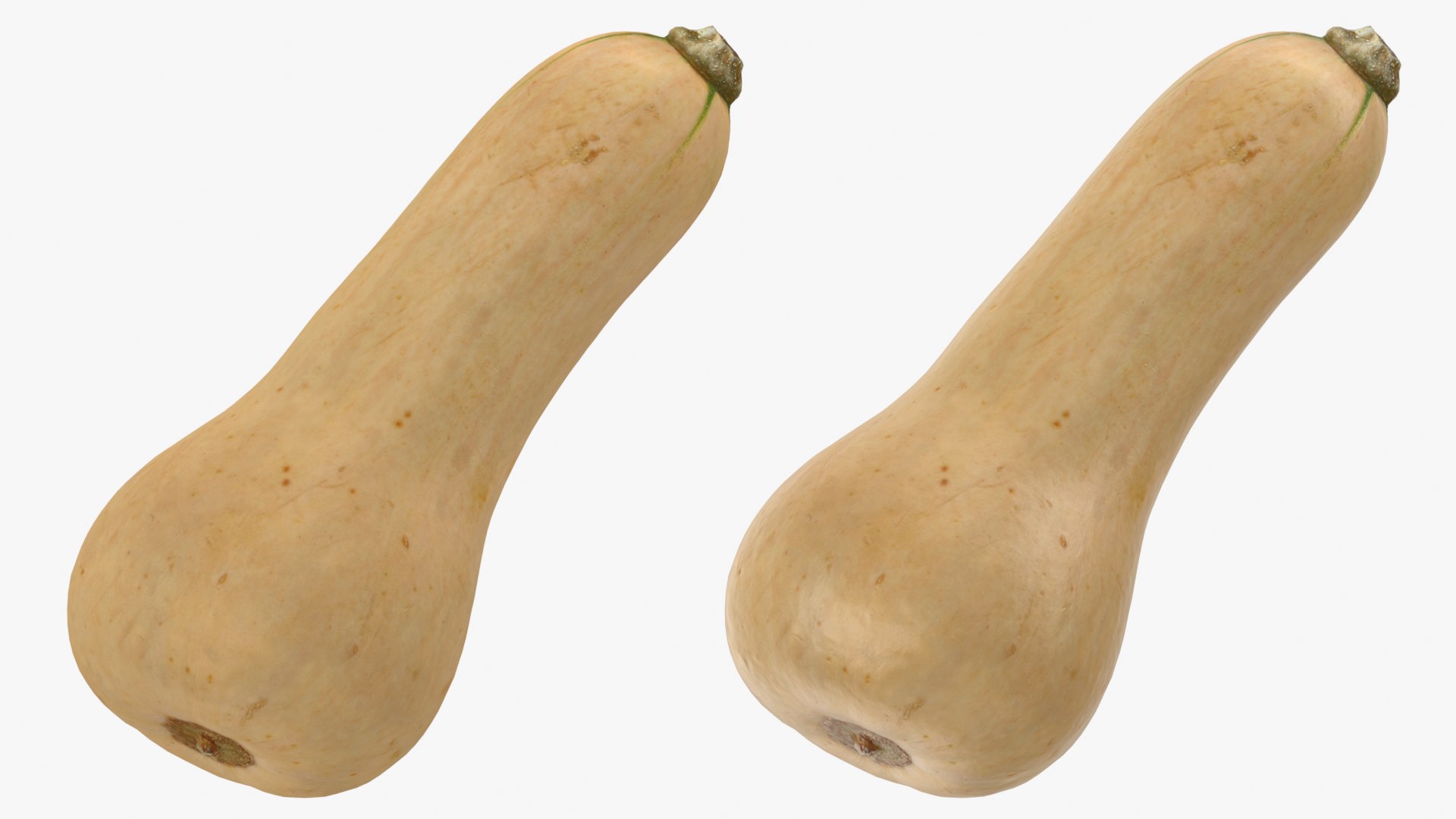 3D model Butternut Squash 01 https://p.turbosquid.com/ts-thumb/0u/CzfmQG/M7/butternutsquash01_0001b/png/1763564019/1920x1080/fit_q87/42cfd3a4ae50ac0ea5835b875e576ba81349cc31/butternutsquash01_0001b.jpg