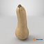 Zucca Butternut 01