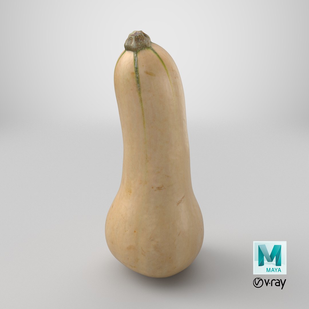 3D model Butternut Squash 01 https://p.turbosquid.com/ts-thumb/0u/CzfmQG/WC/stemcell_maya_vray_render/png/1765730154/1920x1080/fit_q87/6ee6423420a8f70ae61615ae0ffab6615c61e9ad/stemcell_maya_vray_render.jpg