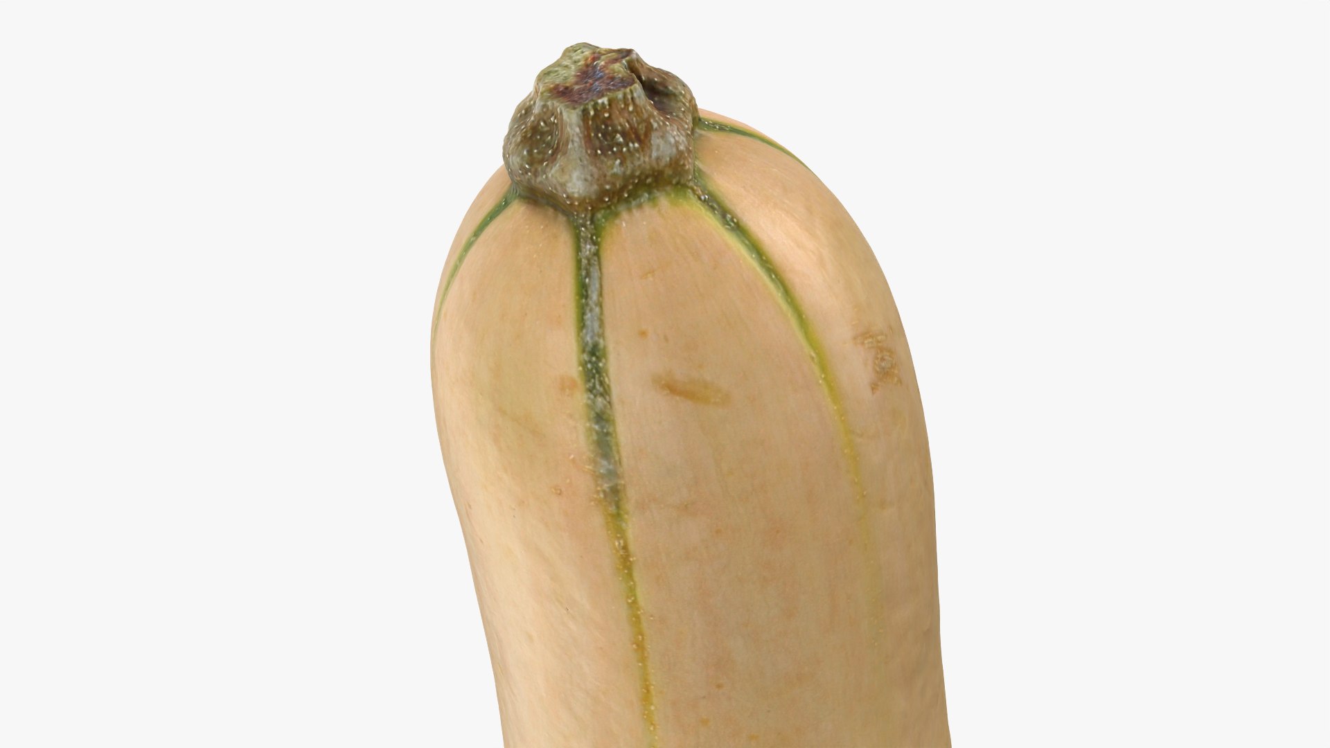 3D model Butternut Squash 01 https://p.turbosquid.com/ts-thumb/0u/CzfmQG/Zn/butternutsquash01_0012/png/1763564047/1920x1080/fit_q87/baa41052444e17d5b28b88418aa58b2adc8d291a/butternutsquash01_0012.jpg