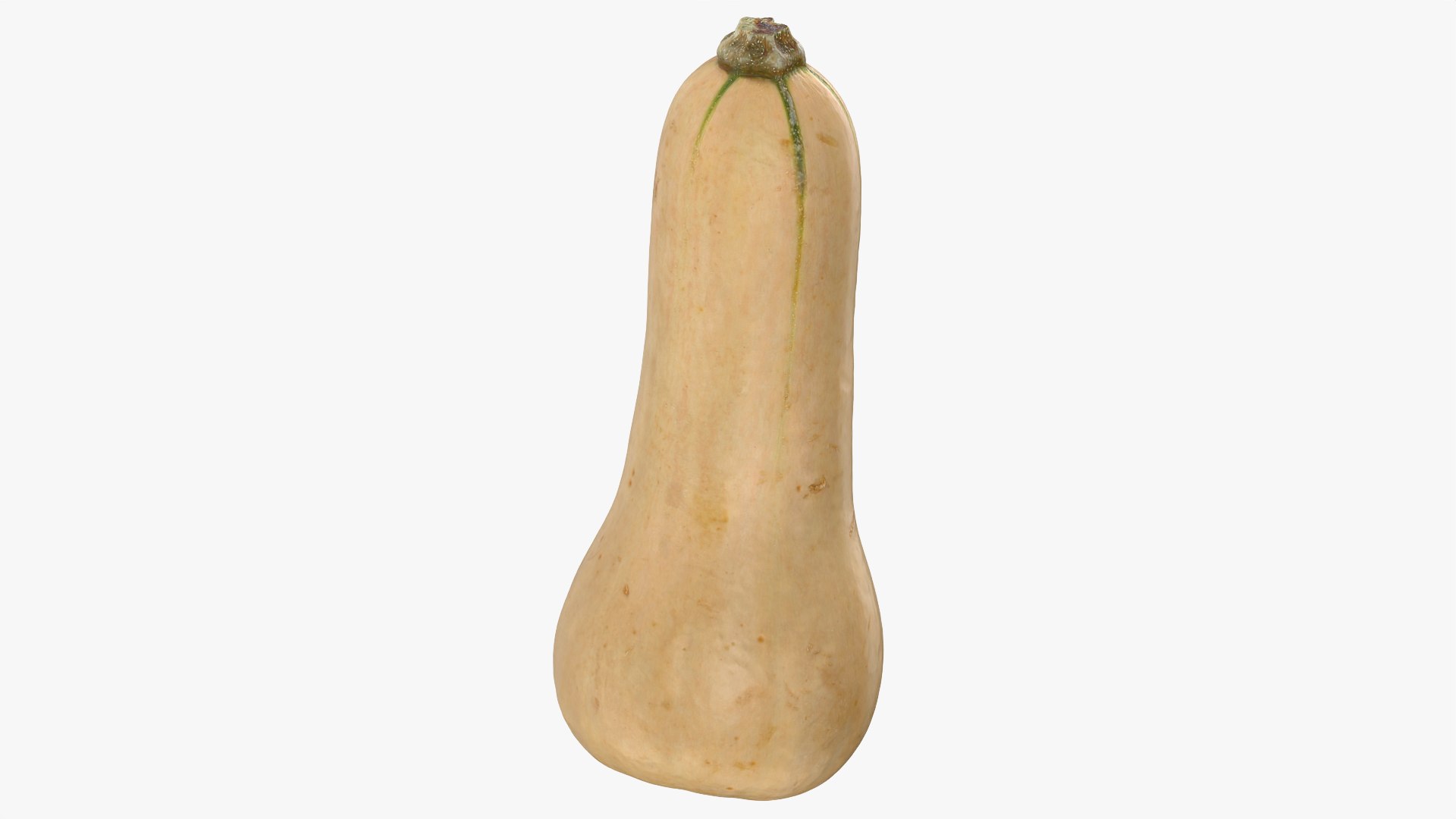 3D model Butternut Squash 01 https://p.turbosquid.com/ts-thumb/0u/CzfmQG/bo/butternutsquash01_0004/png/1763564029/1920x1080/fit_q87/611b638119800dcd02f759f5fe5e64139290a50b/butternutsquash01_0004.jpg
