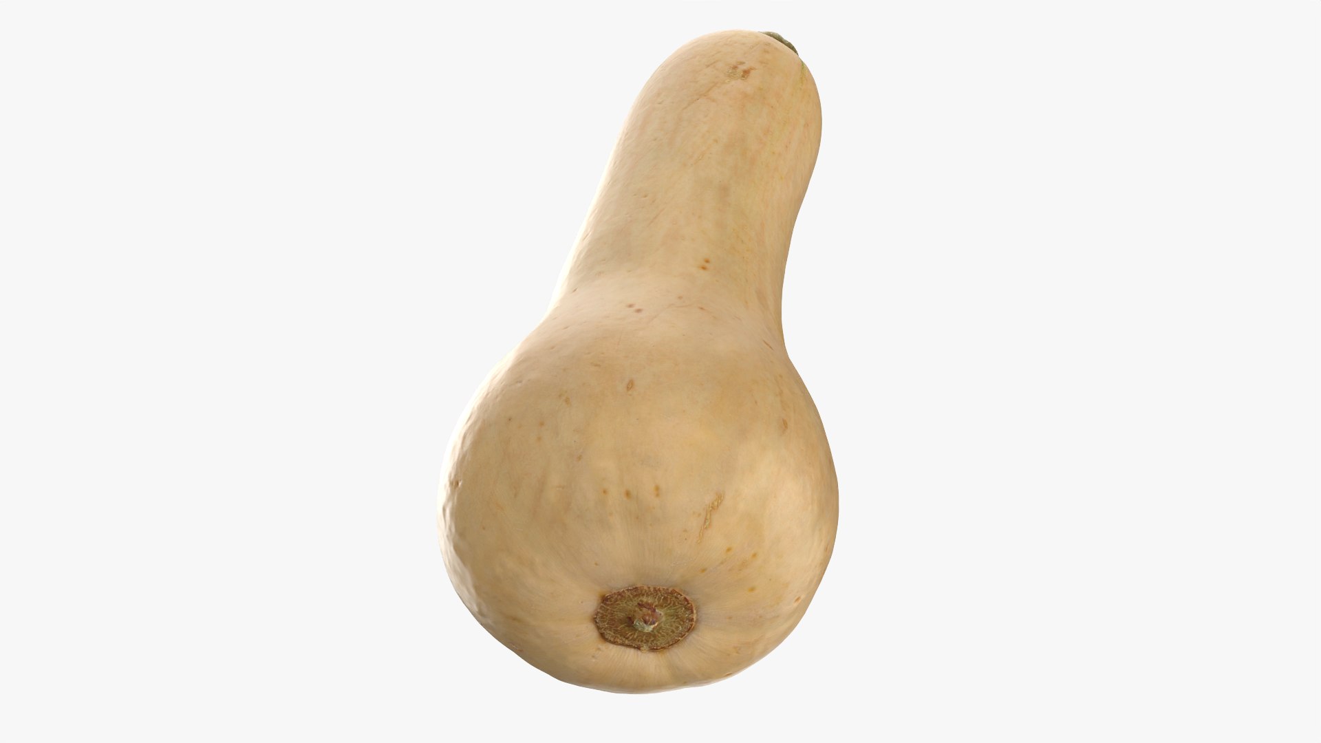 3D model Butternut Squash 01 https://p.turbosquid.com/ts-thumb/0u/CzfmQG/hm/butternutsquash01_0005/png/1763564030/1920x1080/fit_q87/58b64027e0ba03f4f42e763cfa952c881b7f09ed/butternutsquash01_0005.jpg